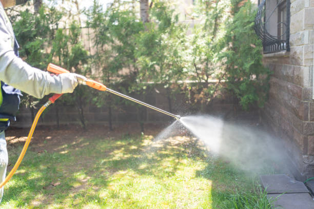 Emergency Pest Control Services in Hardeeville, SC